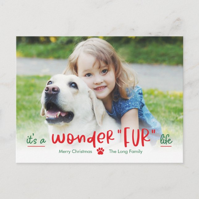 Wonderfur Life Pet Holiday Postcard (Front)