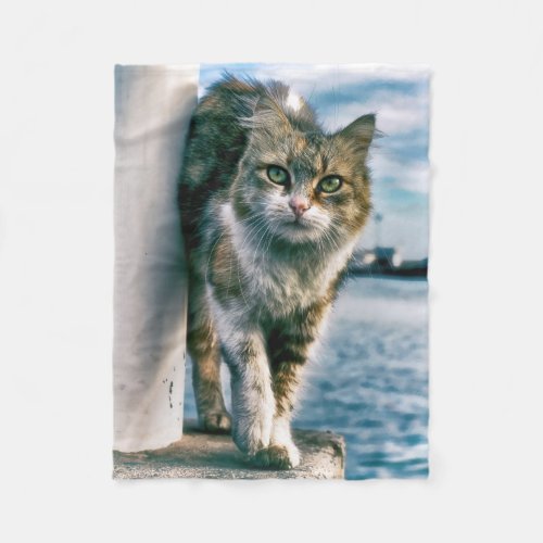 Wondering Beautiful Cat Fleece Blanket