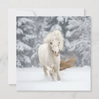 Wonderland Photo Miniature Horse Running Card