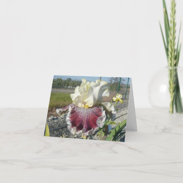 "WONDERS NEVER CEASE" Blank Iris Note Card (Front)
