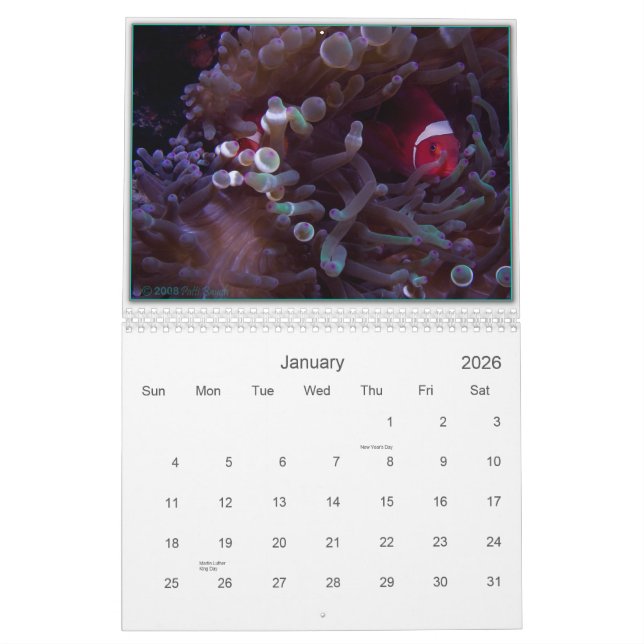 WONDERS UNDER CALENDAR (Jan 2026)