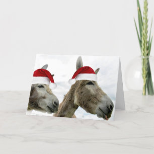 Wonkey Donkey Wishes Holiday Card
