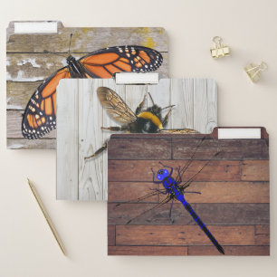 Wood and Bugs Home Office Filing File Folder