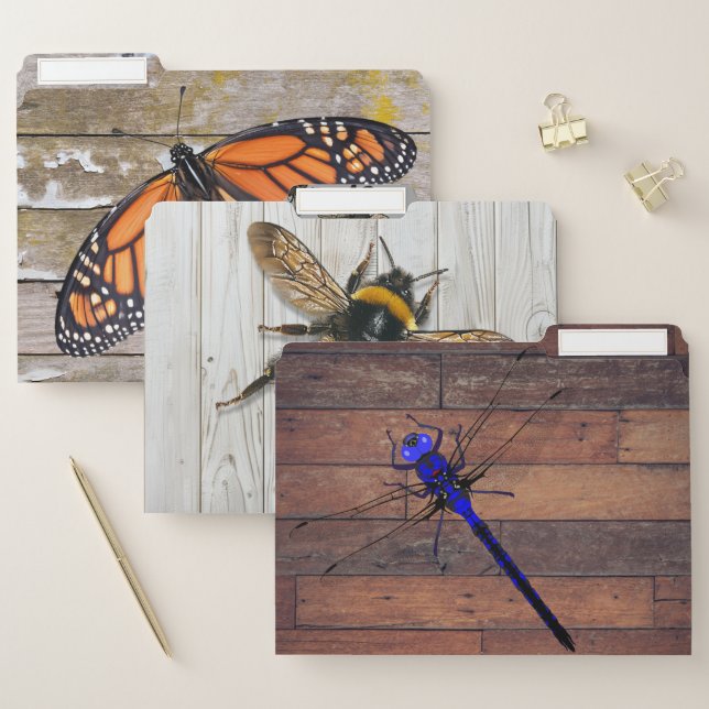 Wood and Bugs Home Office Filing File Folder (Set)