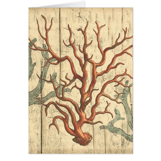 Wood and Small Coral Cards (Front)