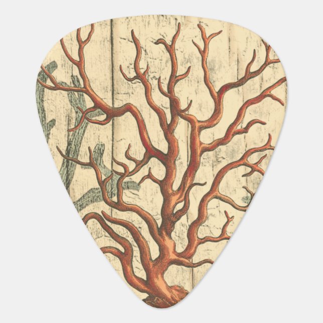 Wood and Small Coral Guitar Pick (Front)