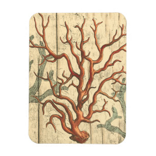 Wood and Small Coral Magnet