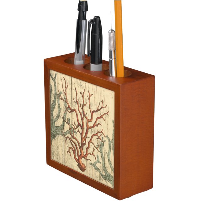 Wood and Small Coral Pencil Holder (In Situ)