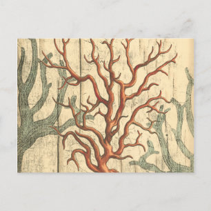 Wood and Small Coral Postcard