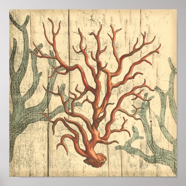 Wood and Small Coral Poster (Front)