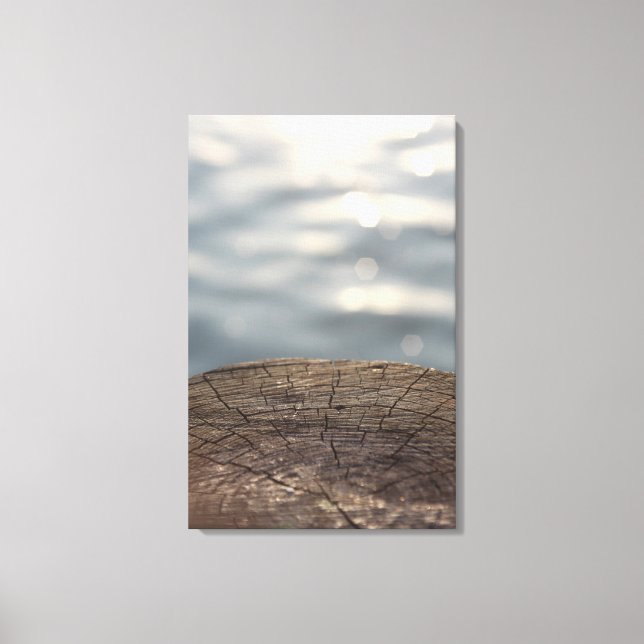 Wood and Water Canvas Print (Front)