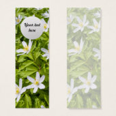 Wood Anemone (Front & Back)