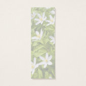 Wood Anemone (Back)