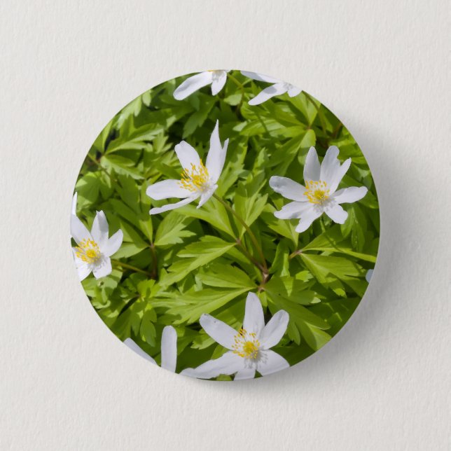 Wood Anemone Button (Front)