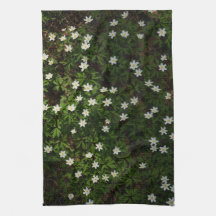 Wood Anemone Forest Floor, Nature Botanical Spring