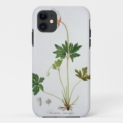 Wood Anemone from Phytographie Medicale by Josep iPhone 11 Case