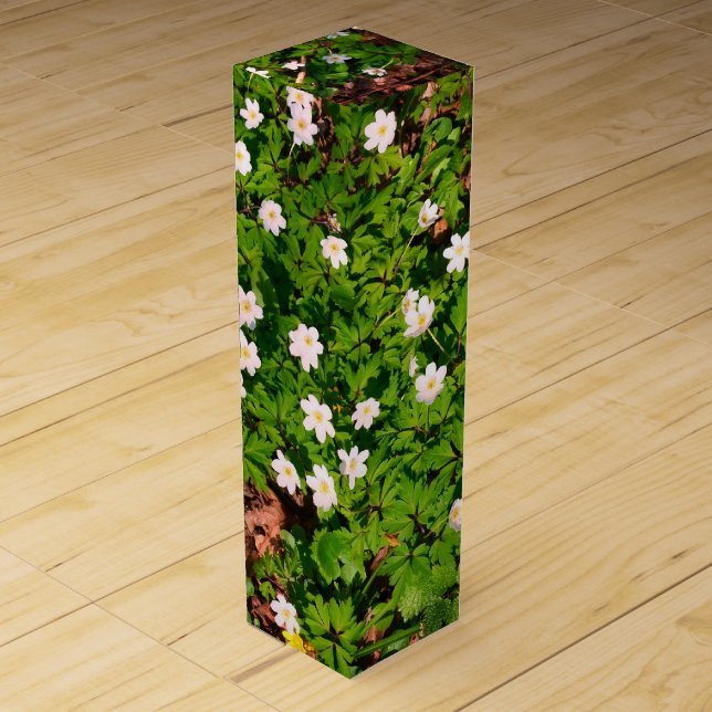 Wood anemone, pretty spring flower wine box (Front)