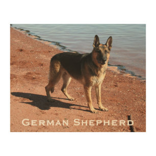Wood Art Print 2   German Shepherd Dog by the Sea
