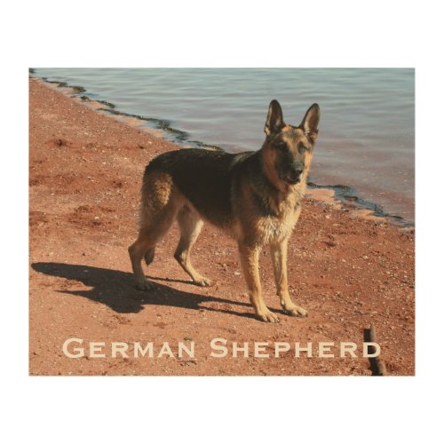 Wood Art Print 2  German Shepherd Dog by the Sea