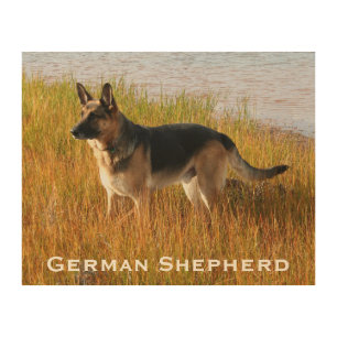 Wood Art Print 2 German Shepherd Dog by the Sea