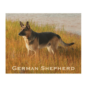 Wood Art Print 2   German Shepherd Dog by the Sea