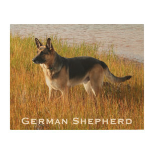 Wood Art Print   German Shepherd Dog by the Sea