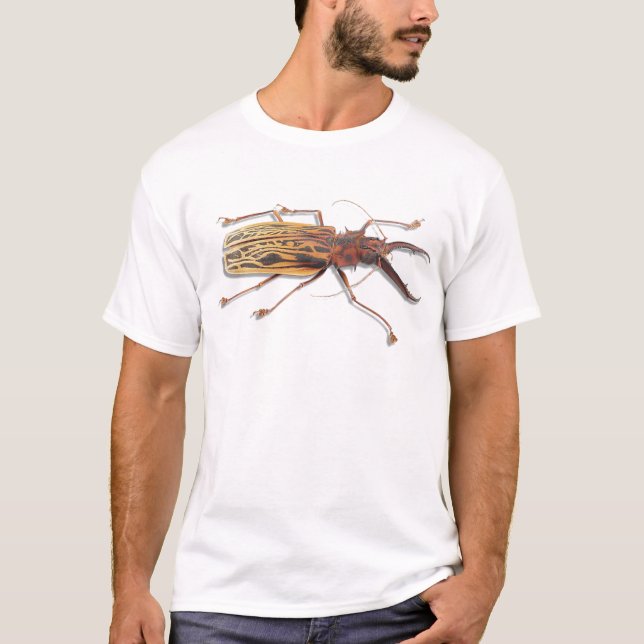 Wood beetle T-Shirt (Front)