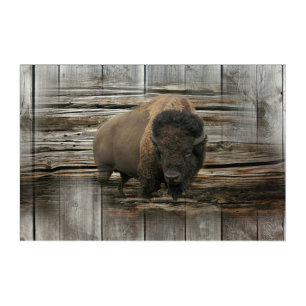 Wood Bison Acrylic Print