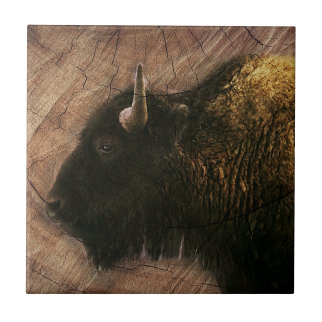 Wood Bison Buffalo Ceramic Tile (Front)