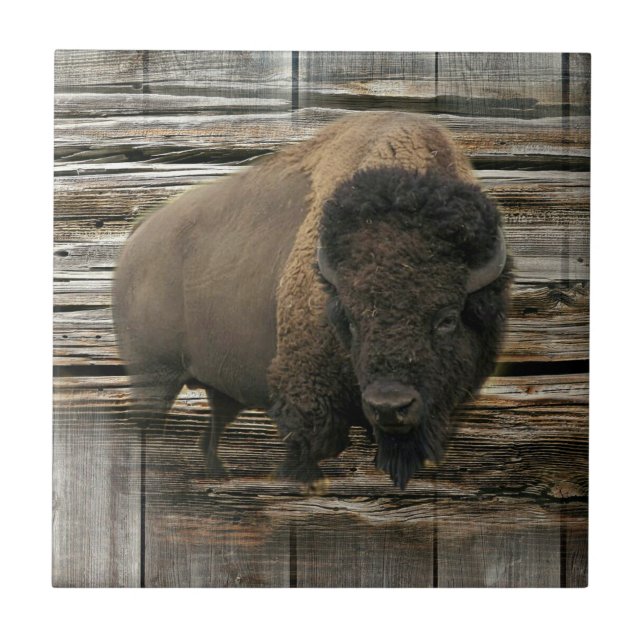 Wood Bison Ceramic Tile (Front)