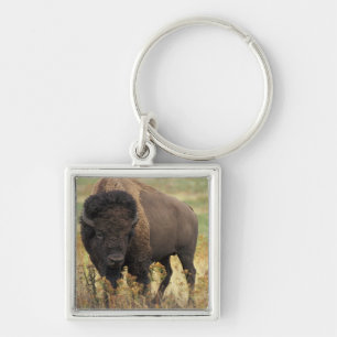 Wood Bison Keychain