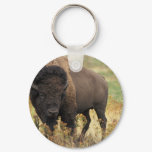 Wood Bison Keychain