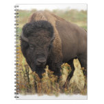 Wood Bison Notebook