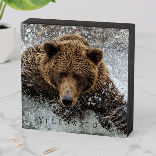 Wood Box Art_Yellowstone Bear