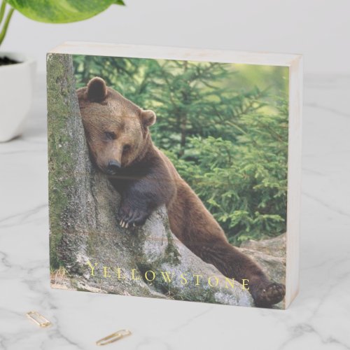 Wood Box Art_Yellowstone Bear