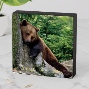 Wood Box Art-Yellowstone Bear