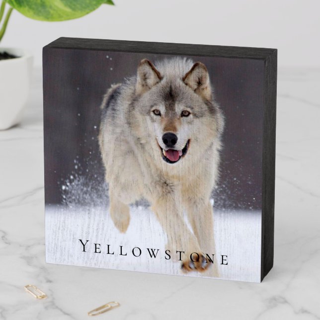 Wood Box Art-Yellowstone Wolf (In Situ Horizontal)