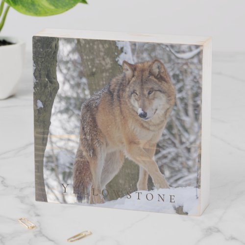 Wood Box Art_Yellowstone Wolf