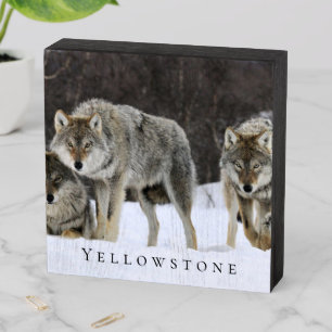 Wood Box Art-Yellowstone Wolves