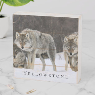 Wood Box Art-Yellowstone Wolves