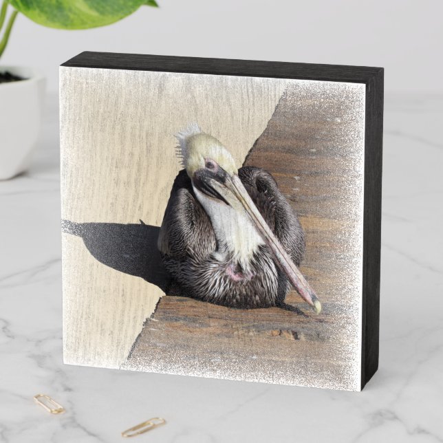 Wood Box Print - Pelican on Pier (In Situ Horizontal)