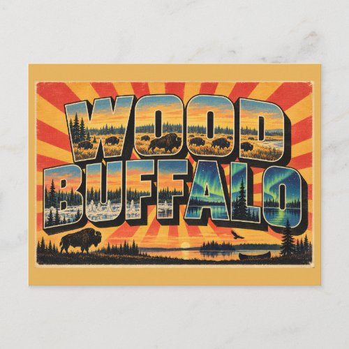 Wood Buffalo NP Bison Dark Sky Art Postcard