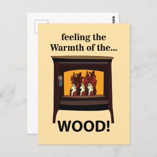 Wood Burner Stove Firewood Warm