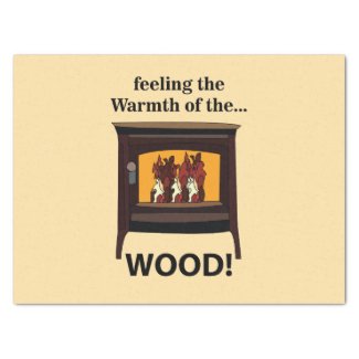 Wood Burner Stove Firewood Warm