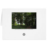 Wood, Bute Park Cardiff (Back Horizontal)