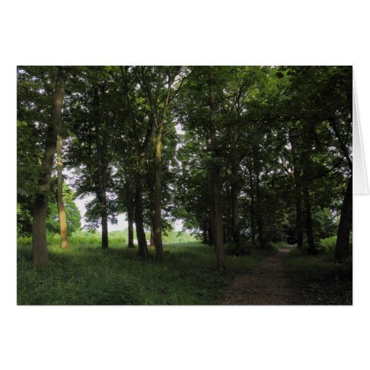 Wood, Bute Park Cardiff (Front Horizontal)