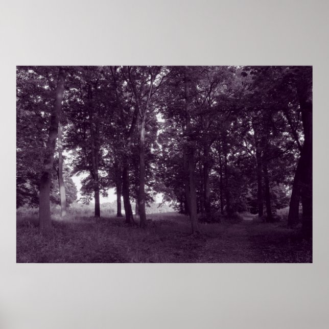 Wood, Bute Park Cardiff - Purple toned BW Poster (Front)