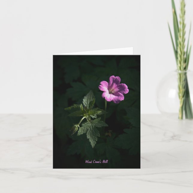 Wood Crane's Bill blank notelet / card (Front)