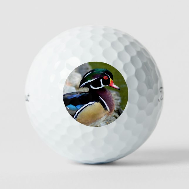 Wood duck beauty birding nature wildlife golf balls (Front)