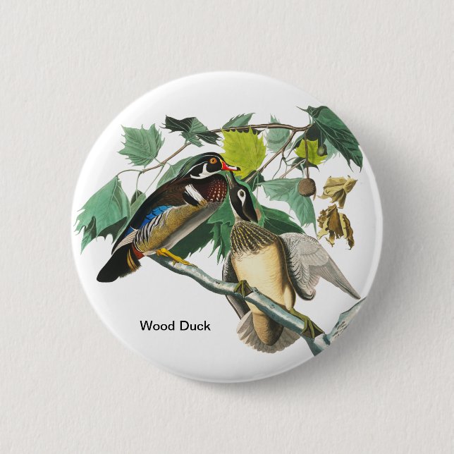 Wood Duck by John James Audubon, Birdwatcher Bird Button (Front)